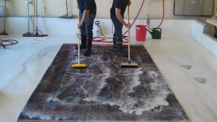 rug-cleaning-tapis-rugs-carpet-891072